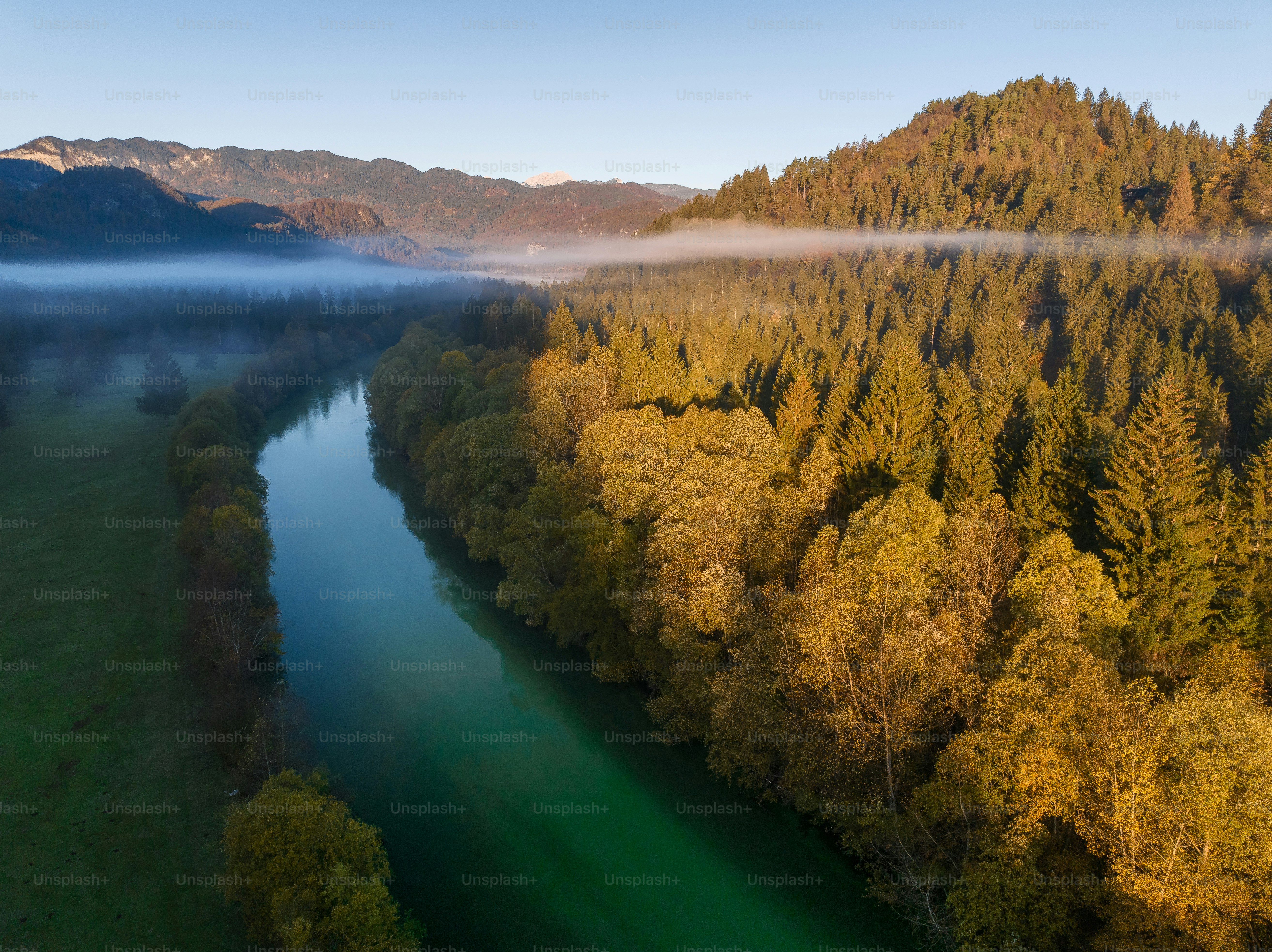 a river running through a lush green forest