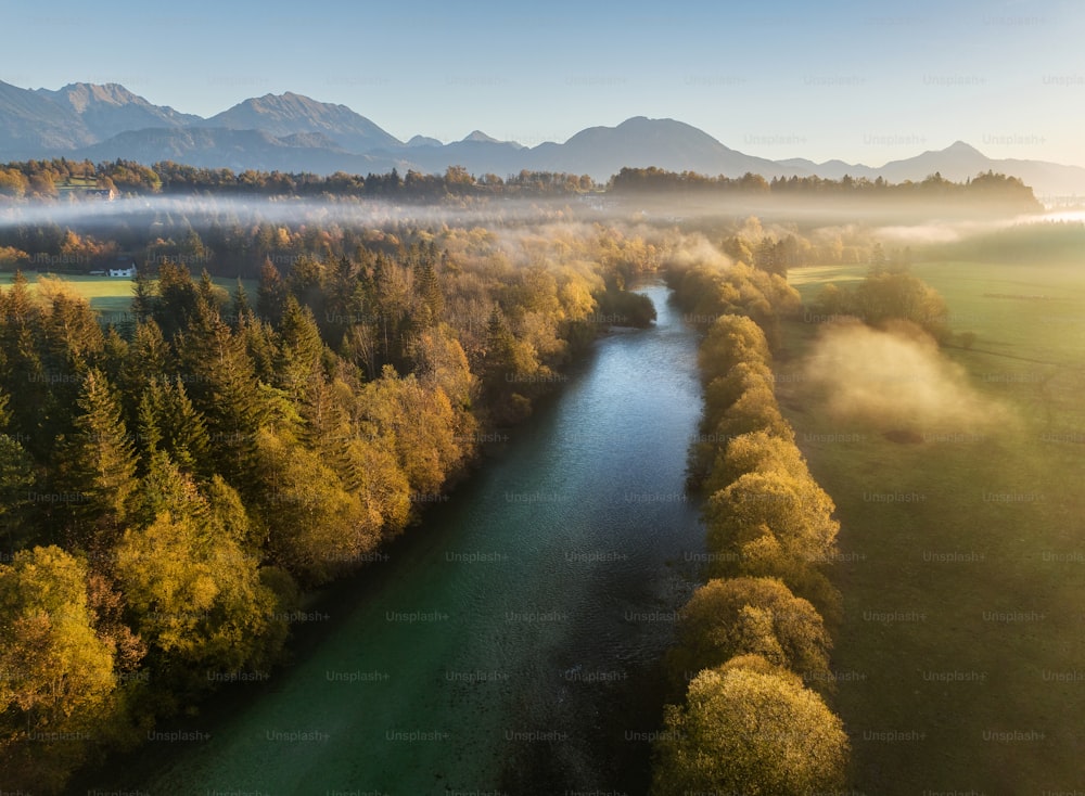 Ein Fluss, der durch einen üppigen grünen Wald fließt