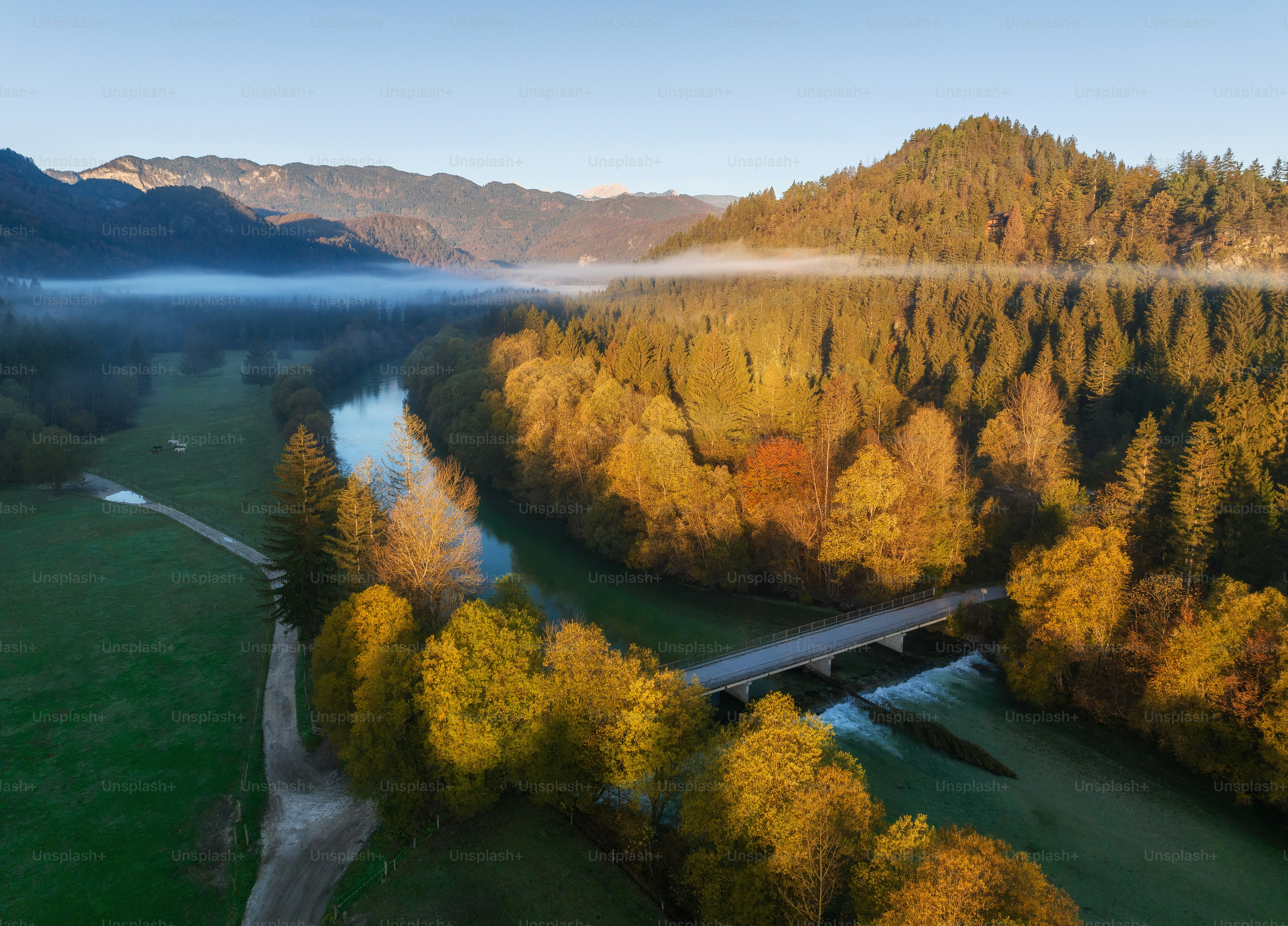 a bridge over a river surrounded by trees