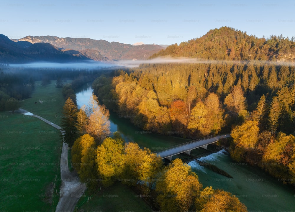 eine Brücke über einen Fluss, umgeben von Bäumen