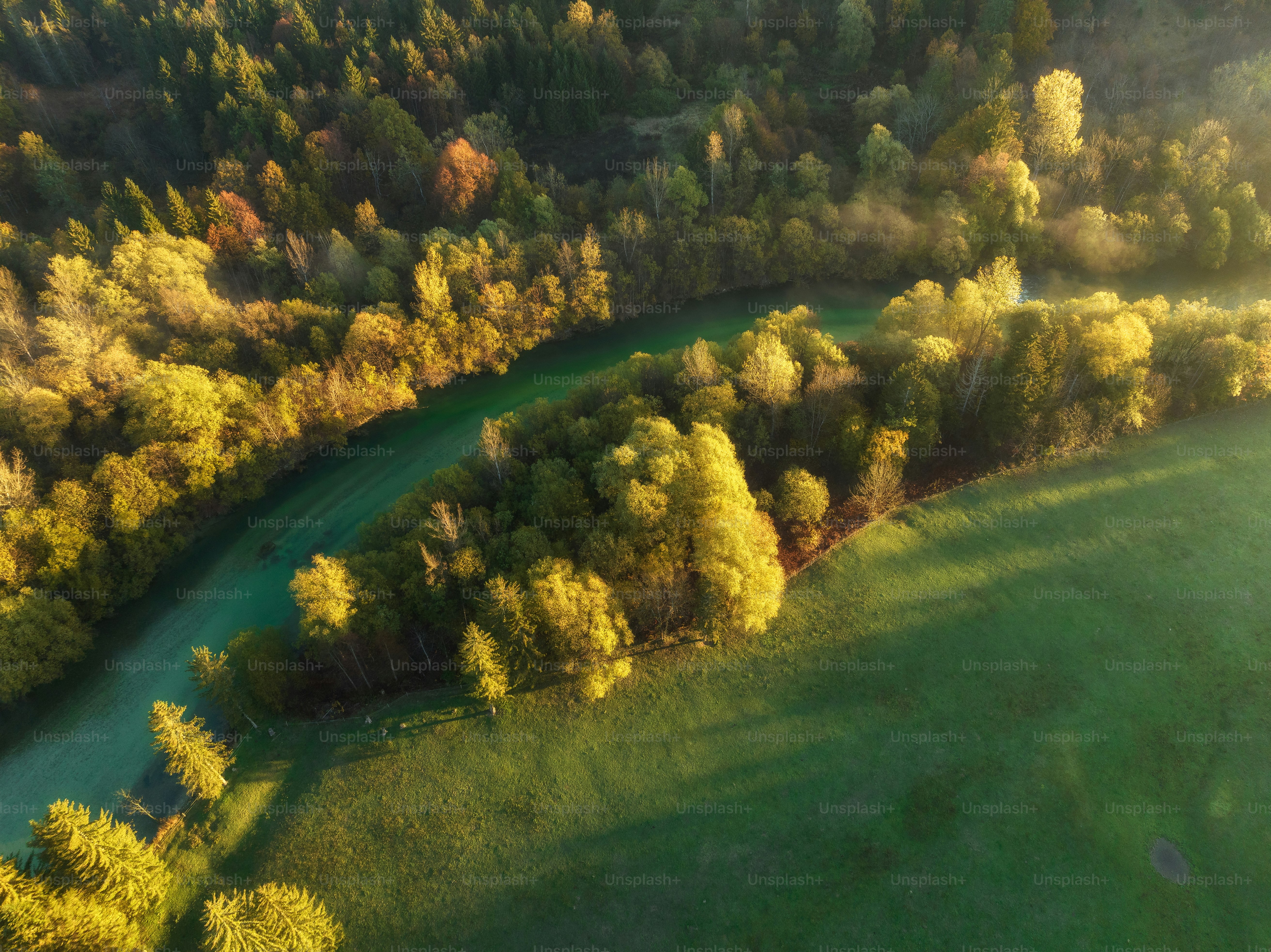 a river running through a lush green forest