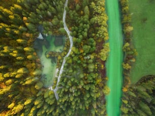 an aerial view of a lush green forest