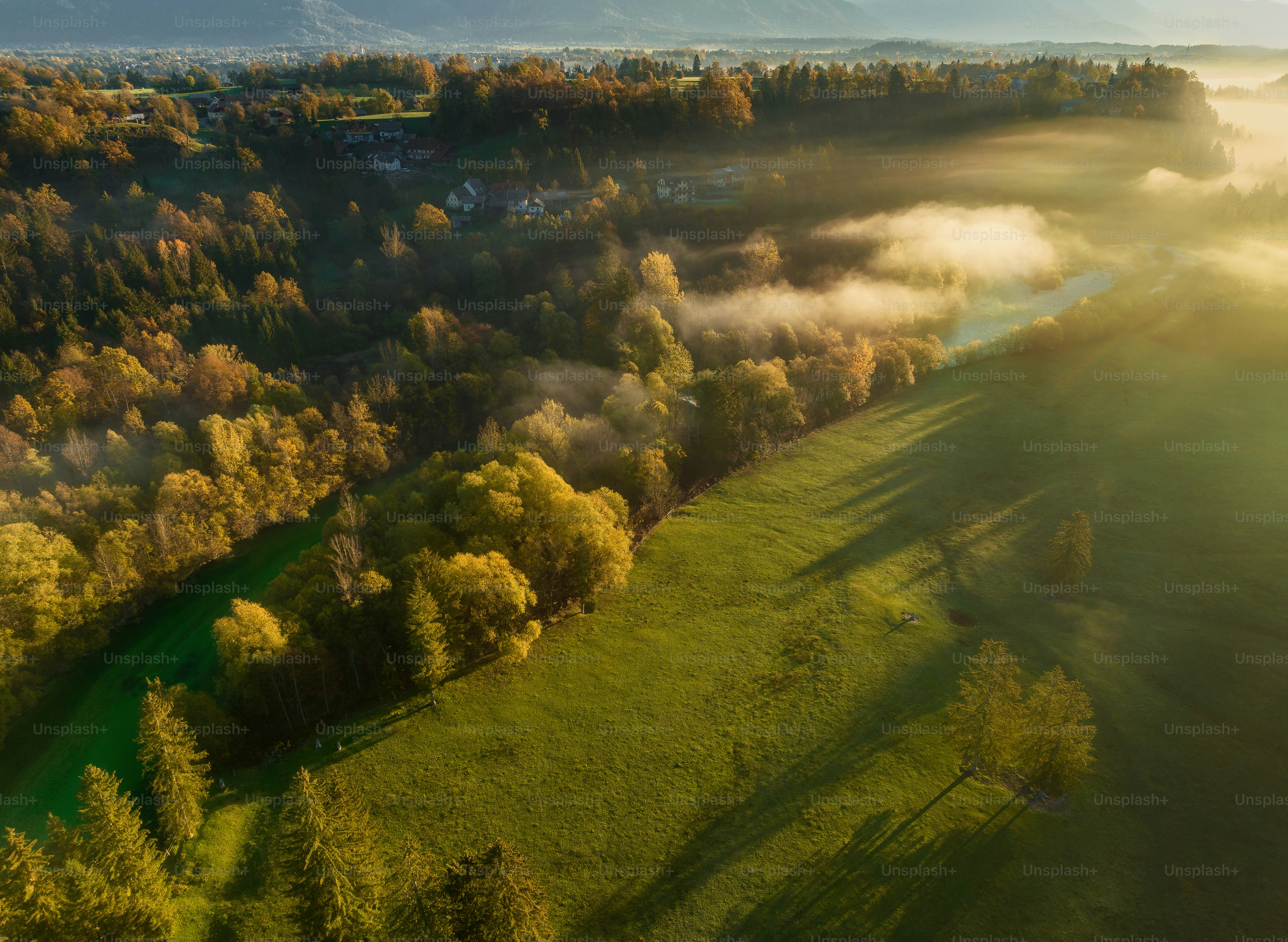 an aerial view of a lush green field