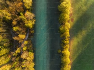 an aerial view of a body of water surrounded by trees