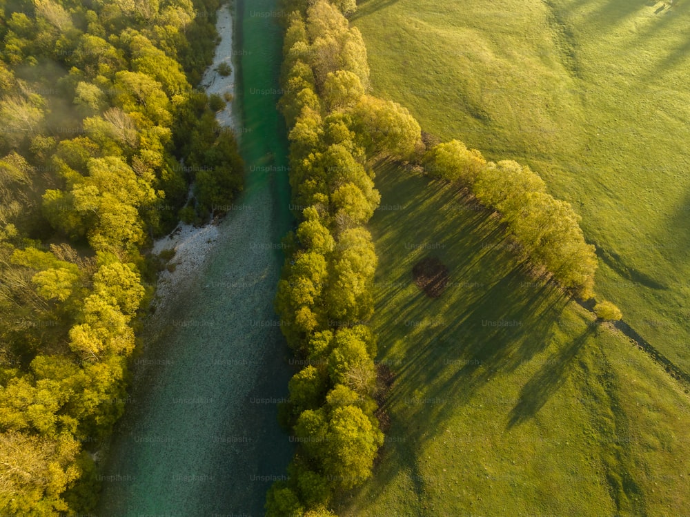 무성한 녹색 시골을 흐르는 강