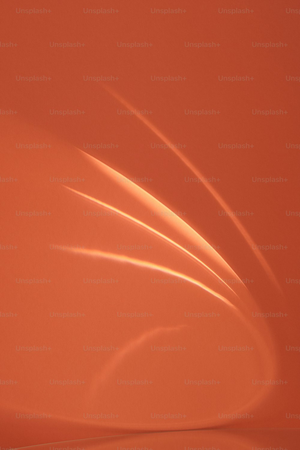 light orange background images