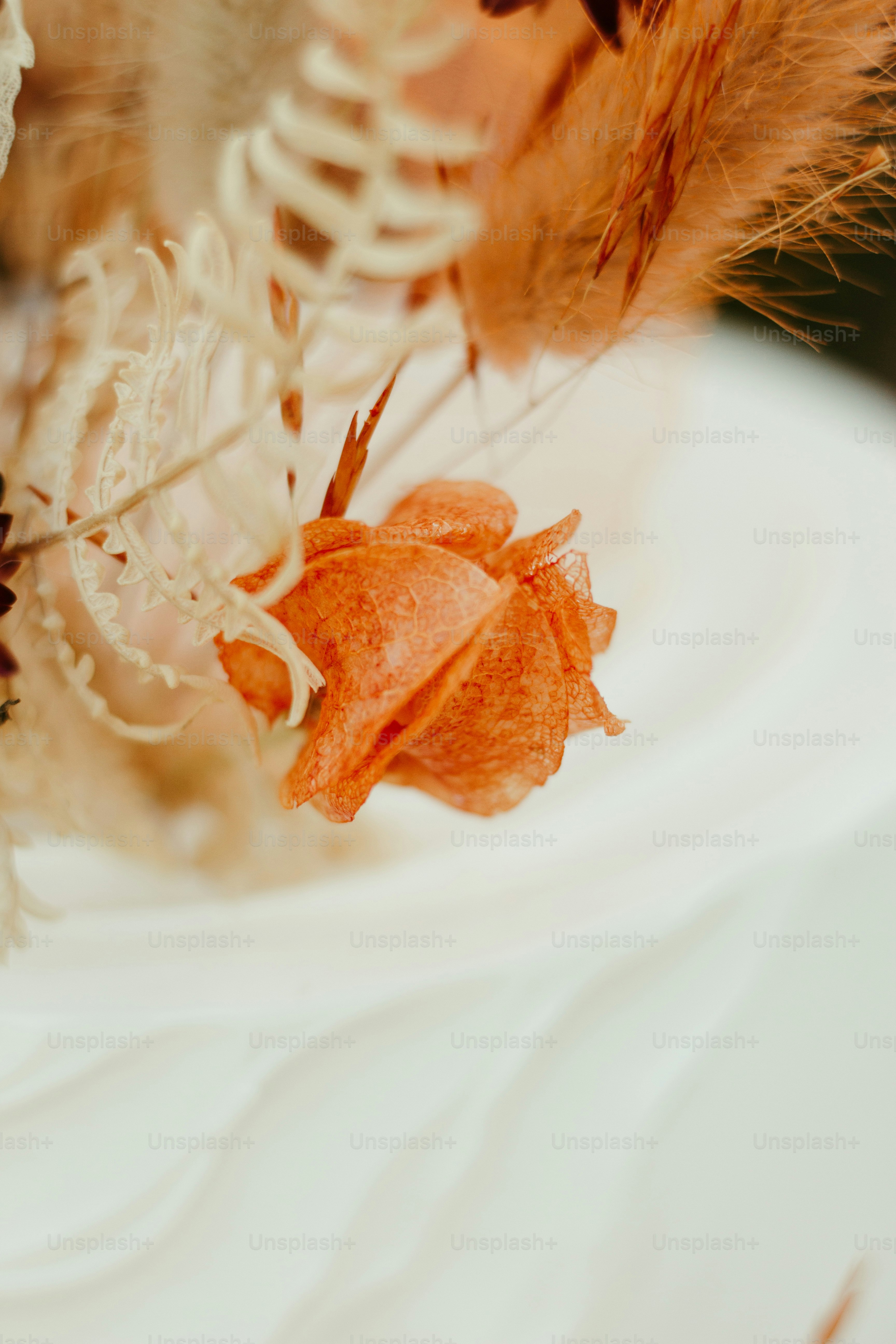 eine Nahaufnahme einer Blume auf einem Tisch