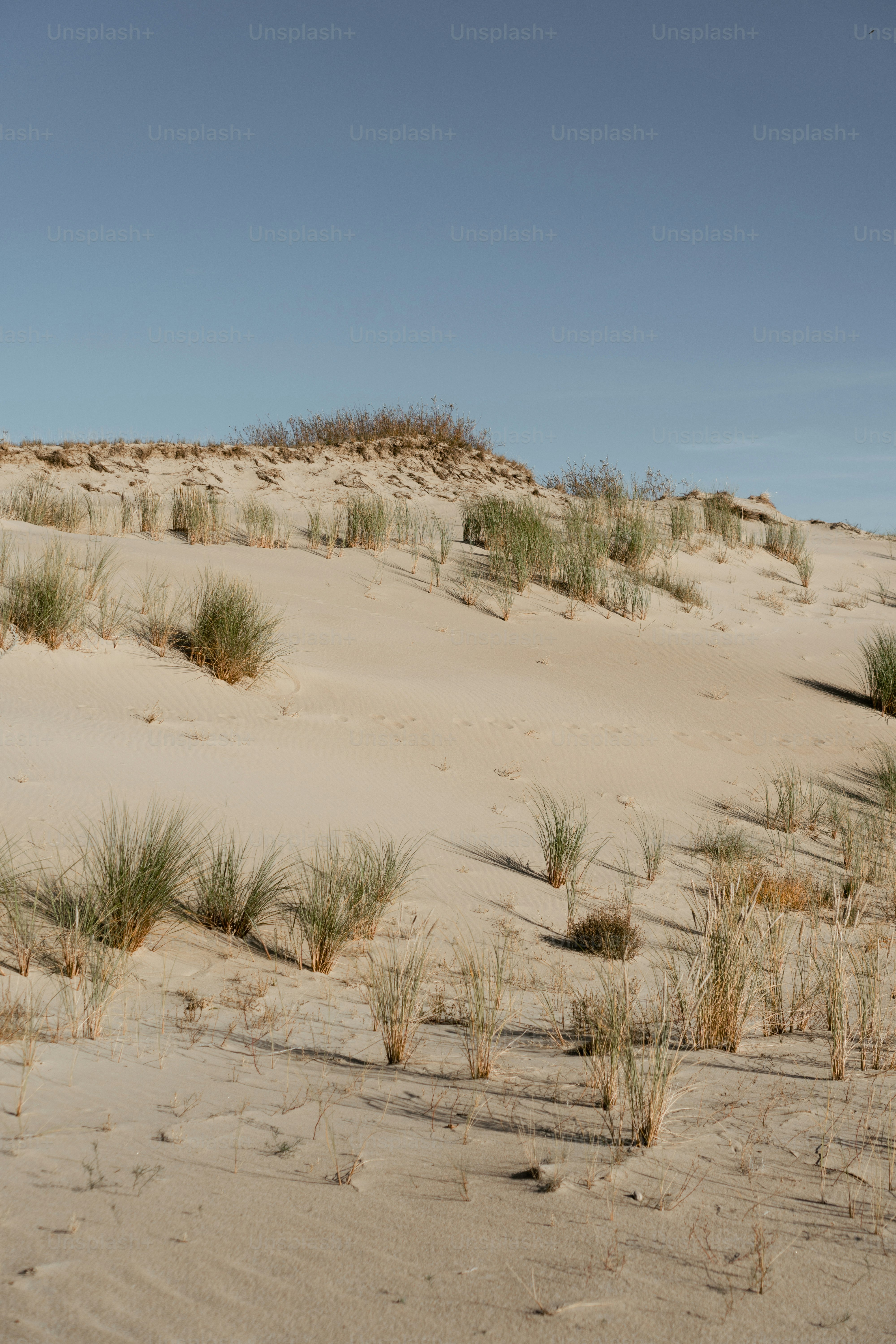 une personne à cheval sur une plage de sable