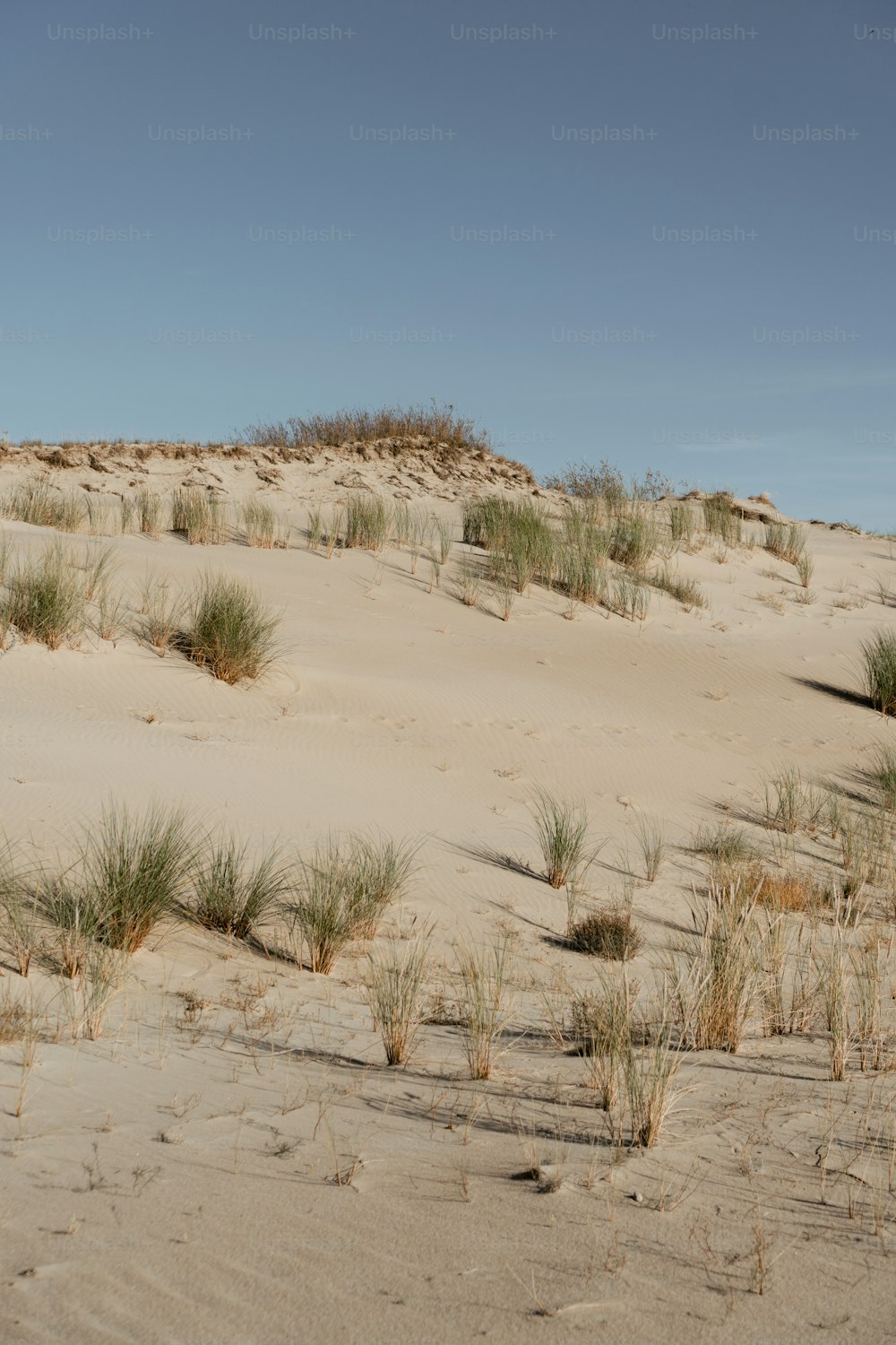 a person riding a horse on a sandy beach