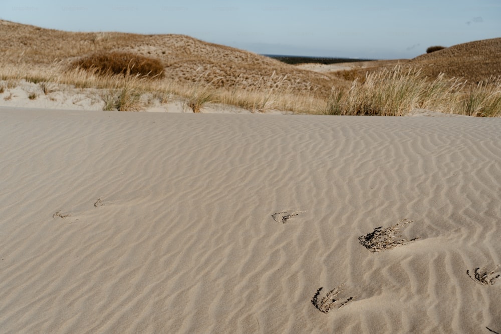 pegadas na areia de uma área desértica