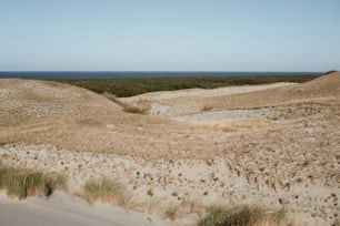 Un área cubierta de hierba con un cuerpo de agua en la distancia