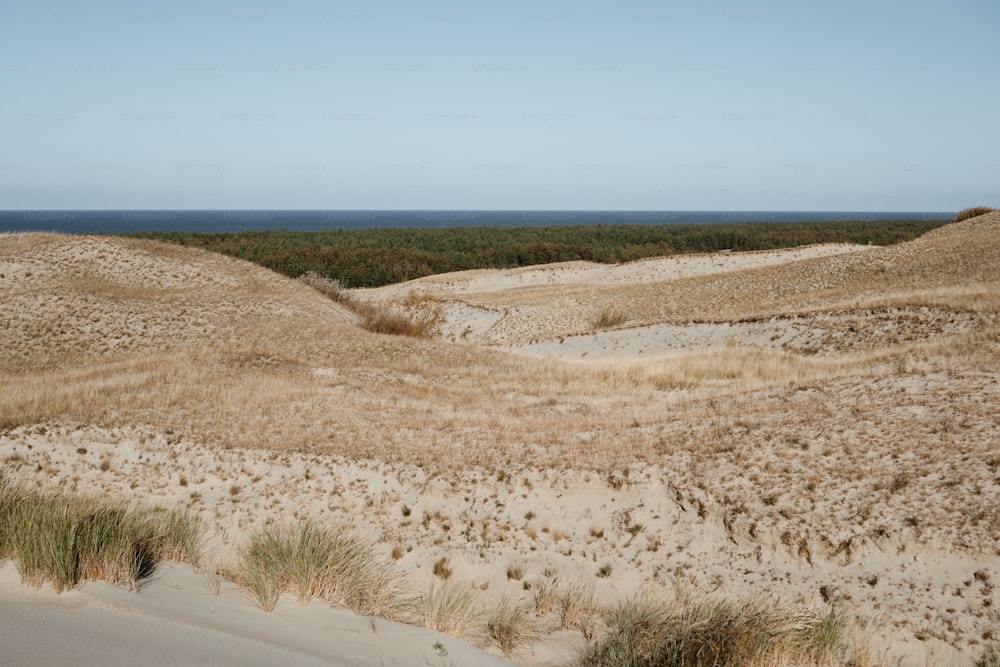 a grassy area with a body of water in the distance