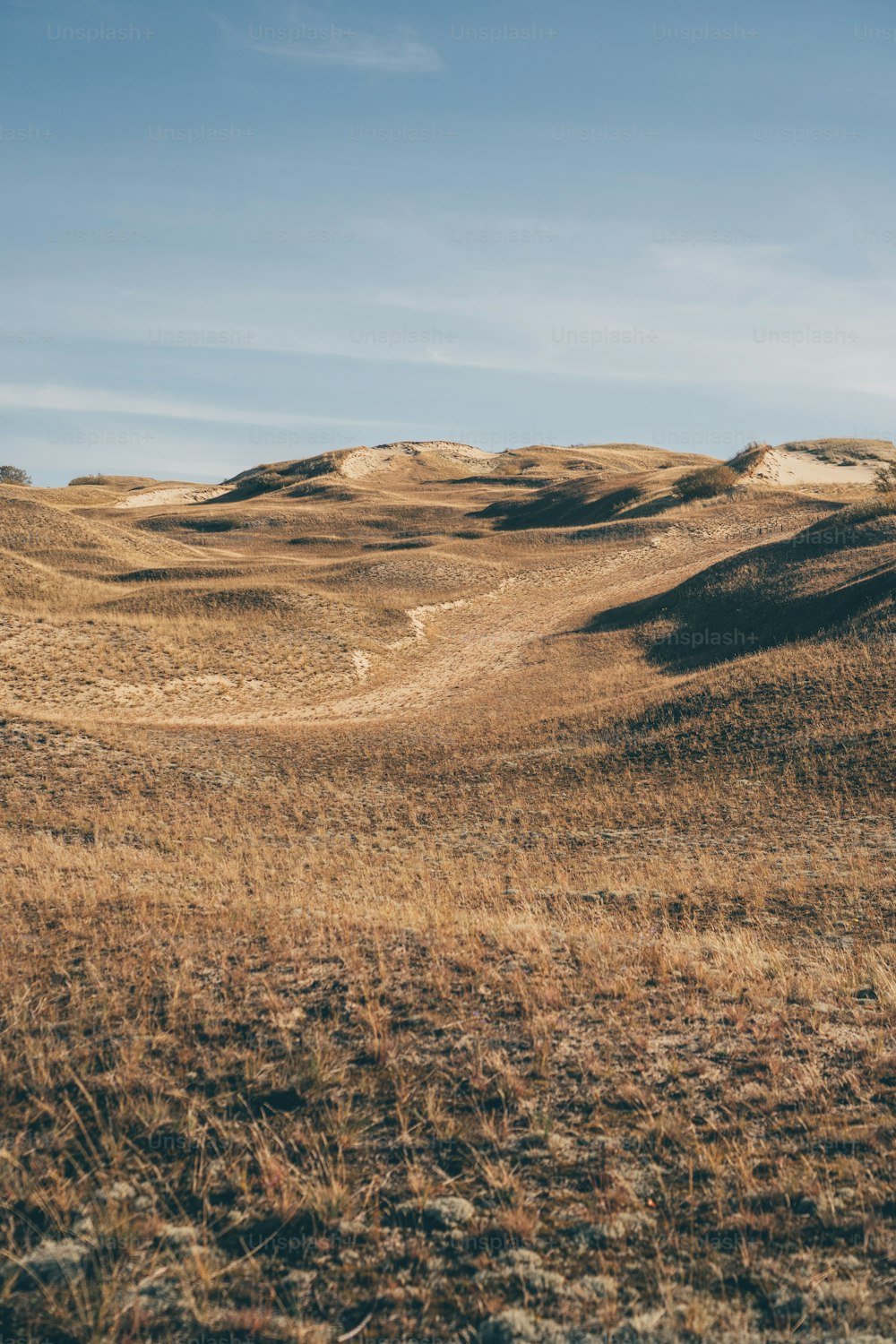 a grassy field with a hill in the background