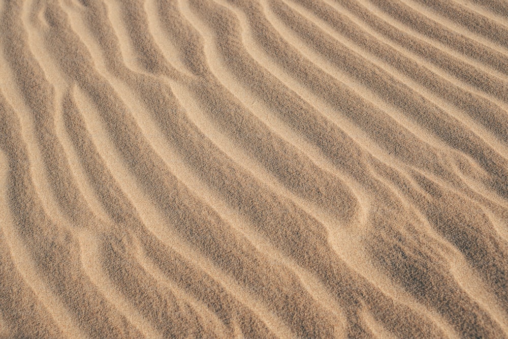 a sandy area with a small patch of grass in the middle of it