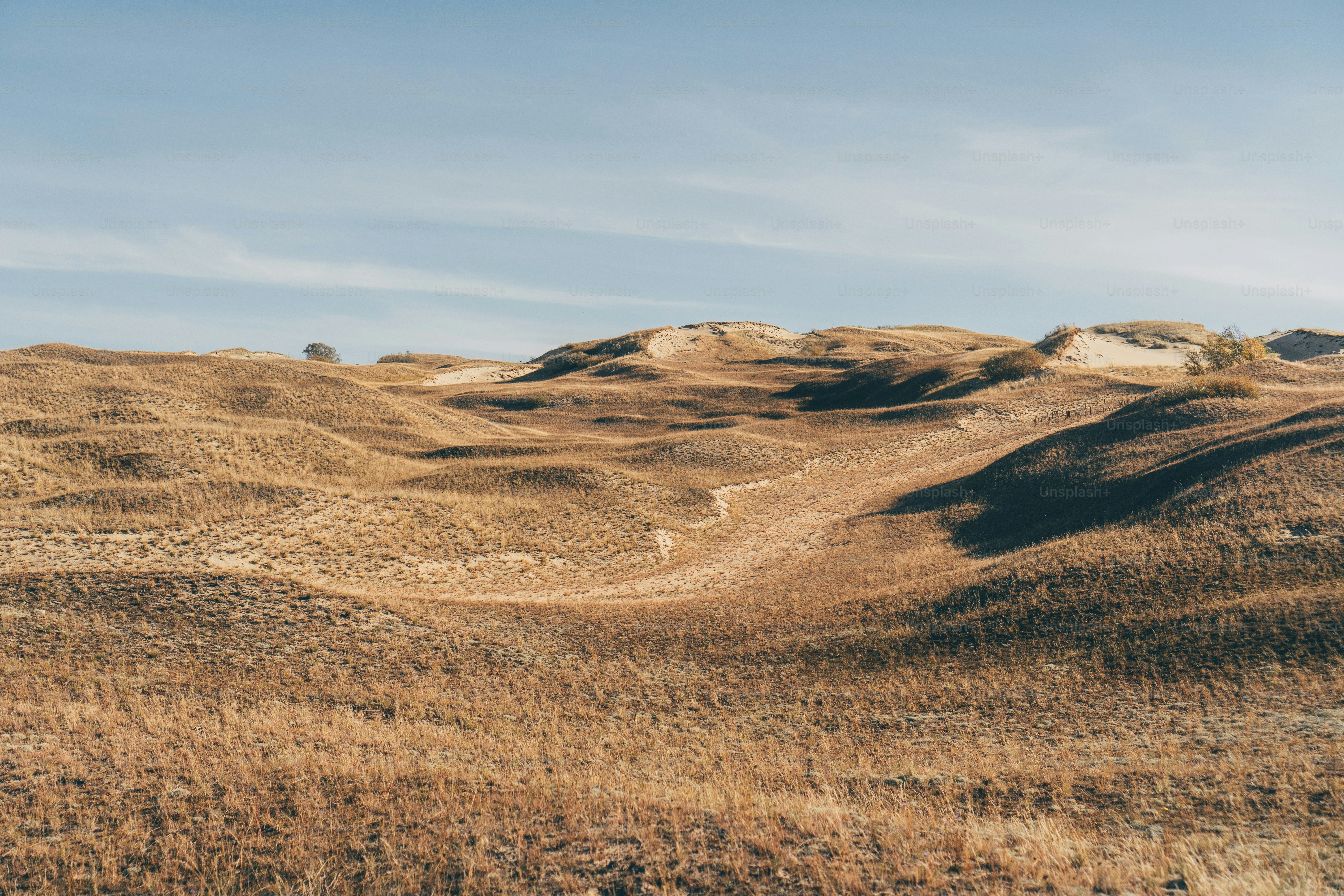 uma colina gramada com um céu azul no fundo