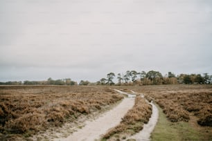 a dirt path in a grassy field with trees in the background