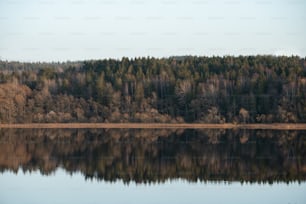 a large body of water surrounded by trees