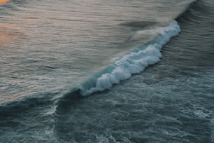 Eine große Welle kommt auf das Ufer zu