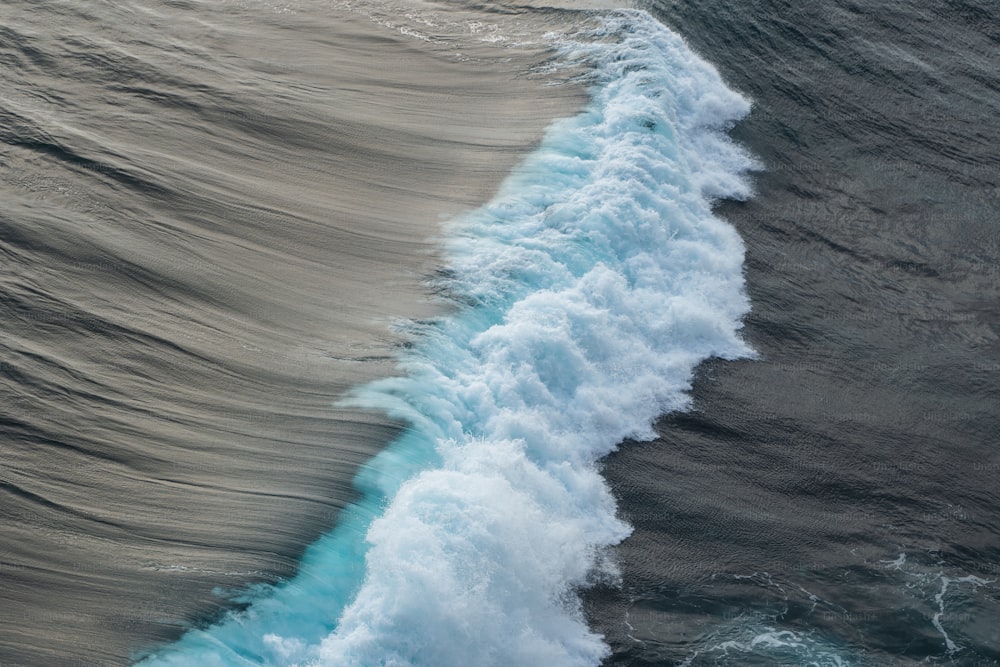 uma pessoa montando uma prancha de surf em cima de uma onda