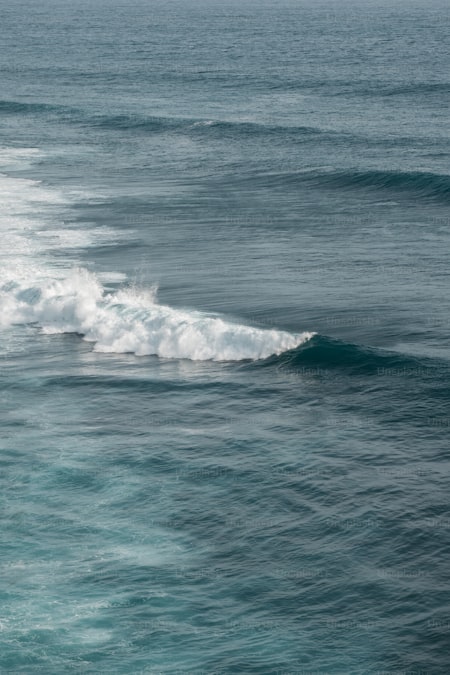 White Water Rafting in Bali: Ayung River vs Telaga Waja