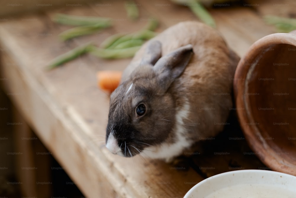 um coelho sentado em uma mesa ao lado de uma tigela de cenouras