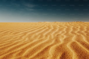 a sandy area with a blue sky in the background