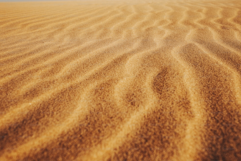 a sandy area with a blue sky in the background