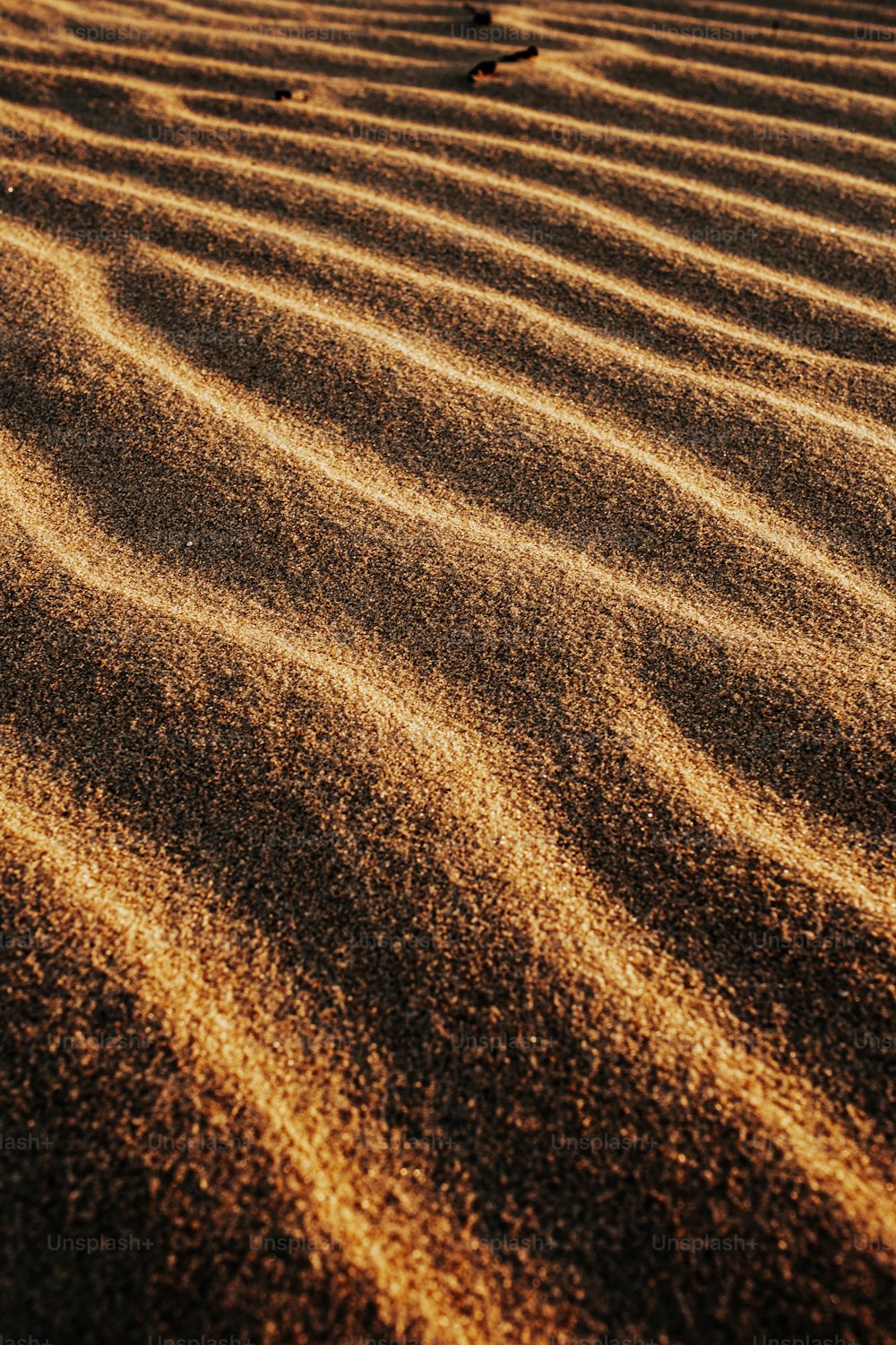 Un arenal con algunas huellas