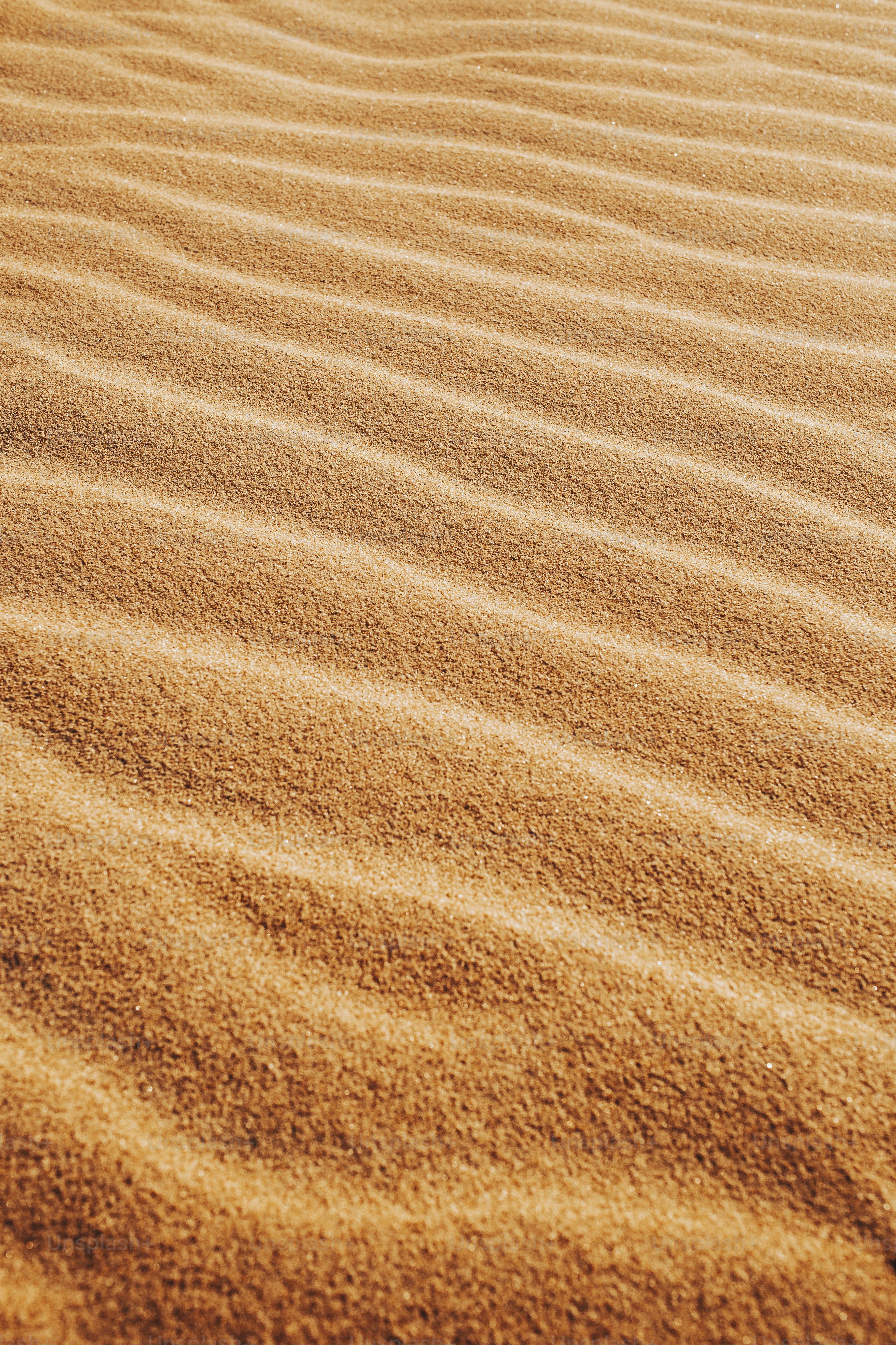 a sandy area with a small patch of grass in the middle of it