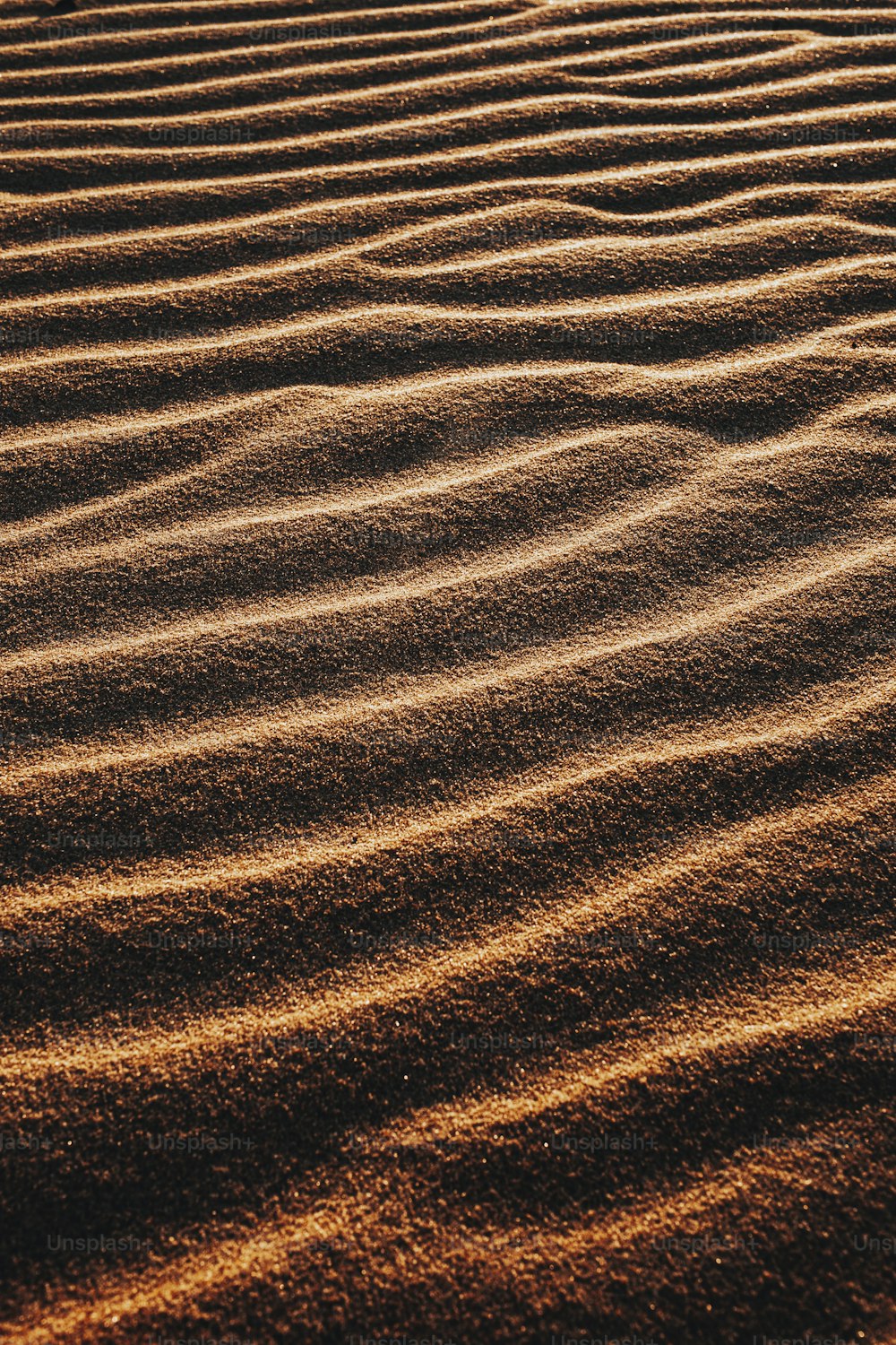 a sandy area with ripples in the sand