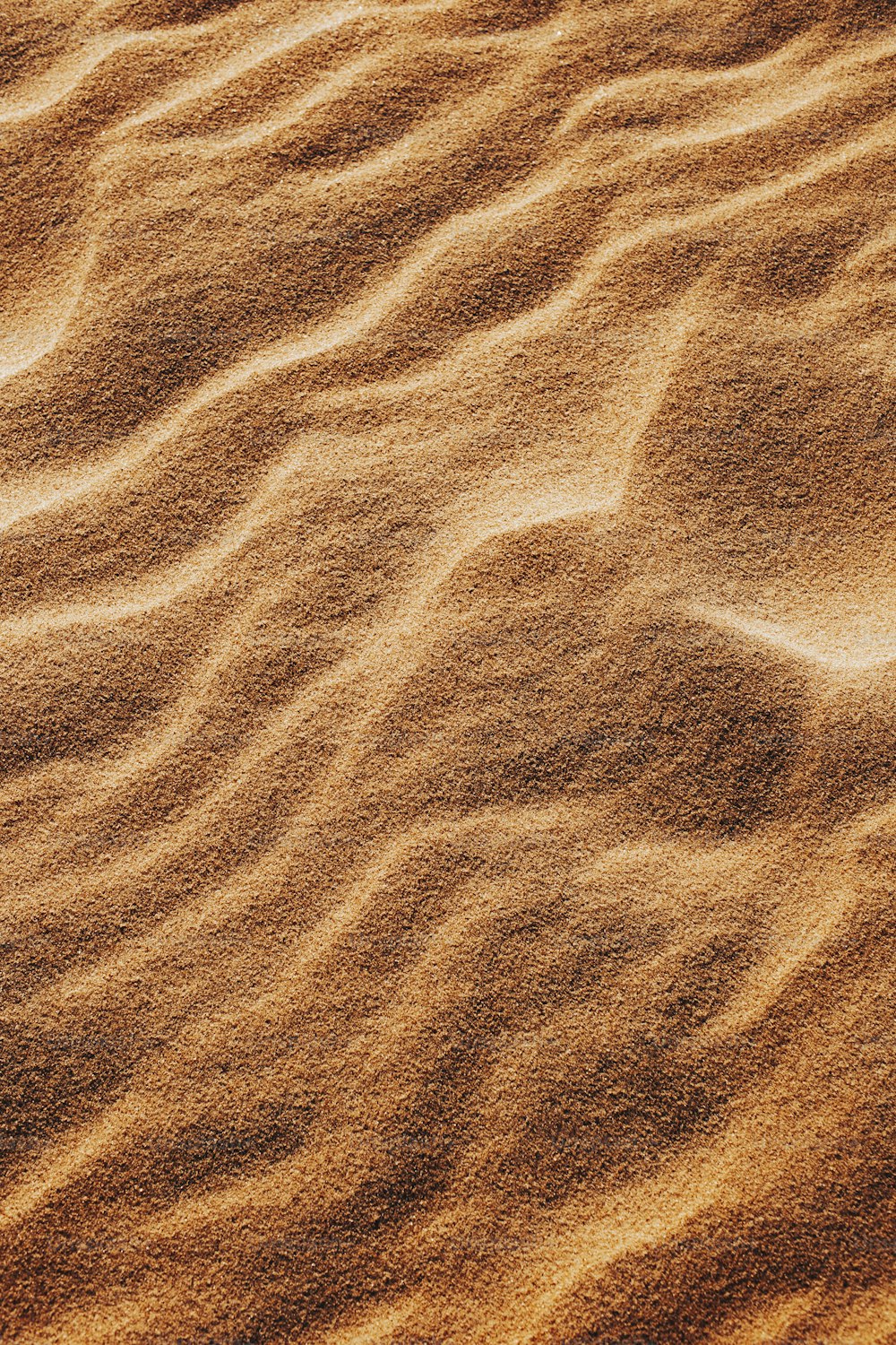 ein Sandstrand, der mit viel Sand bedeckt ist