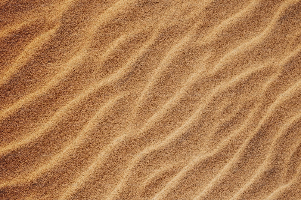 uma área arenosa com uma pequena quantidade de areia
