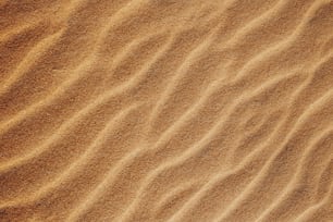 une zone sablonneuse avec une petite quantité de sable