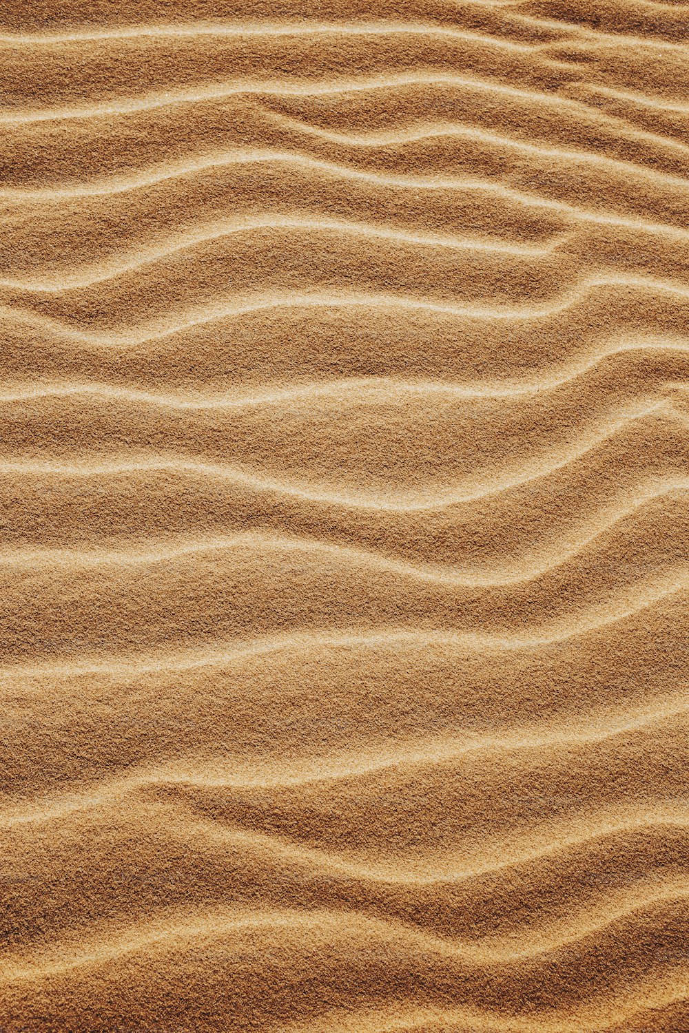 uma duna de areia com linhas onduladas na areia