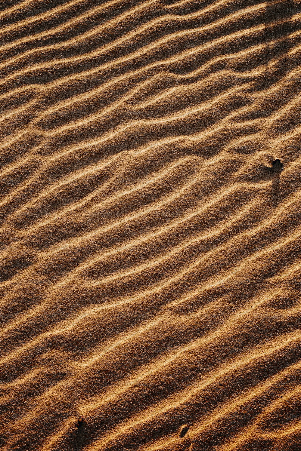 Ein Schatten einer Person, die im Sand steht