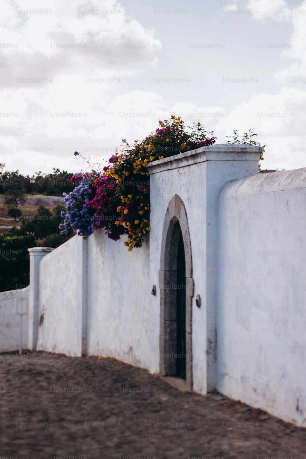 uma parede branca com uma porta e flores sobre ela