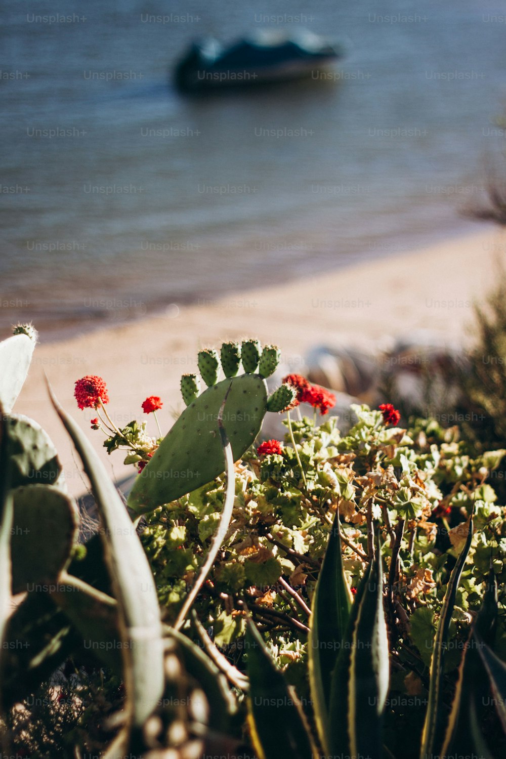 a boat is in the water near a beach