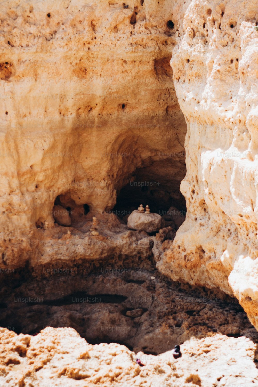 a bird sitting on a rock in a cave