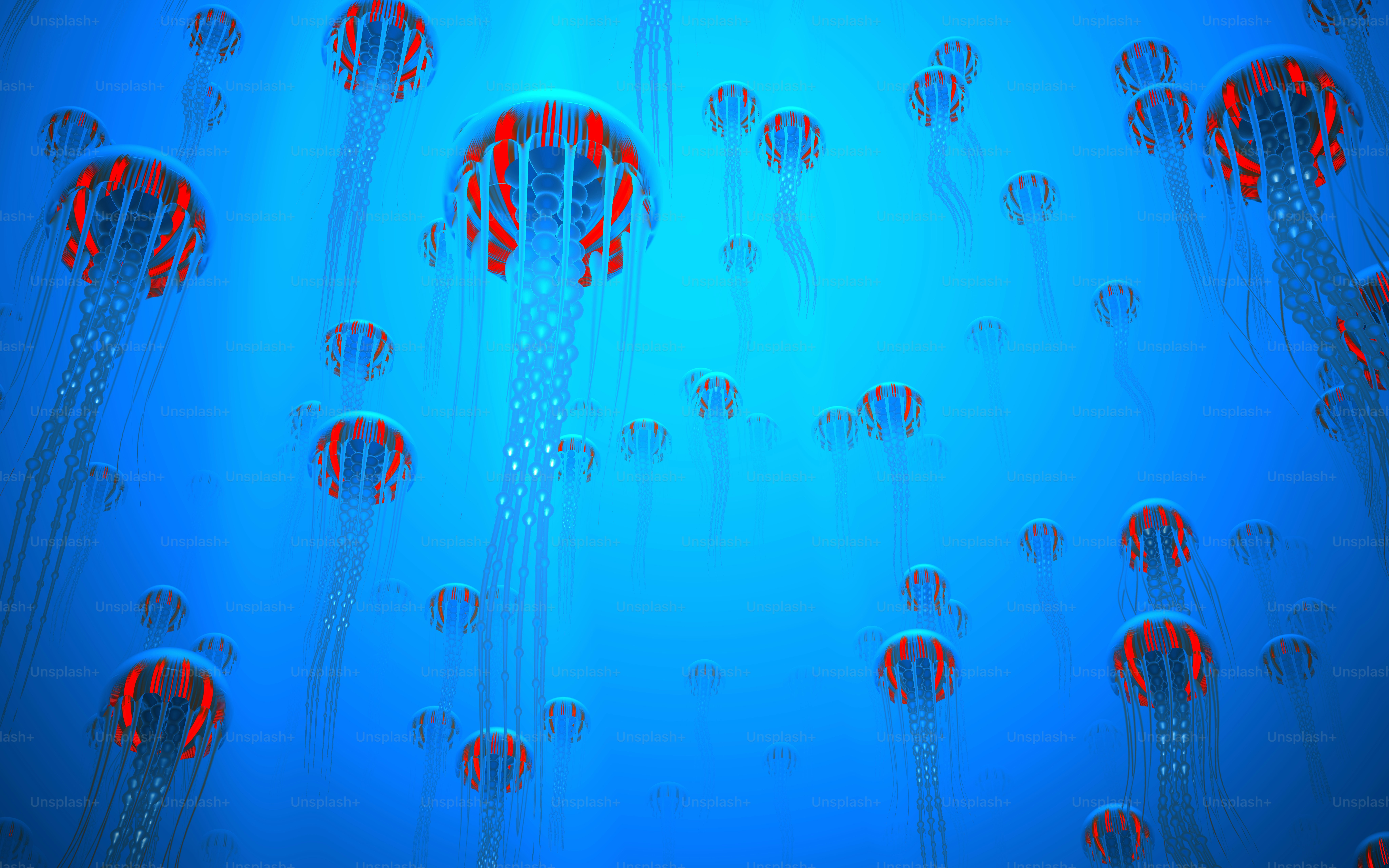 a group of jellyfish swimming in the ocean