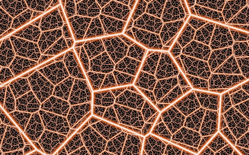 a close up view of a leaf's structure