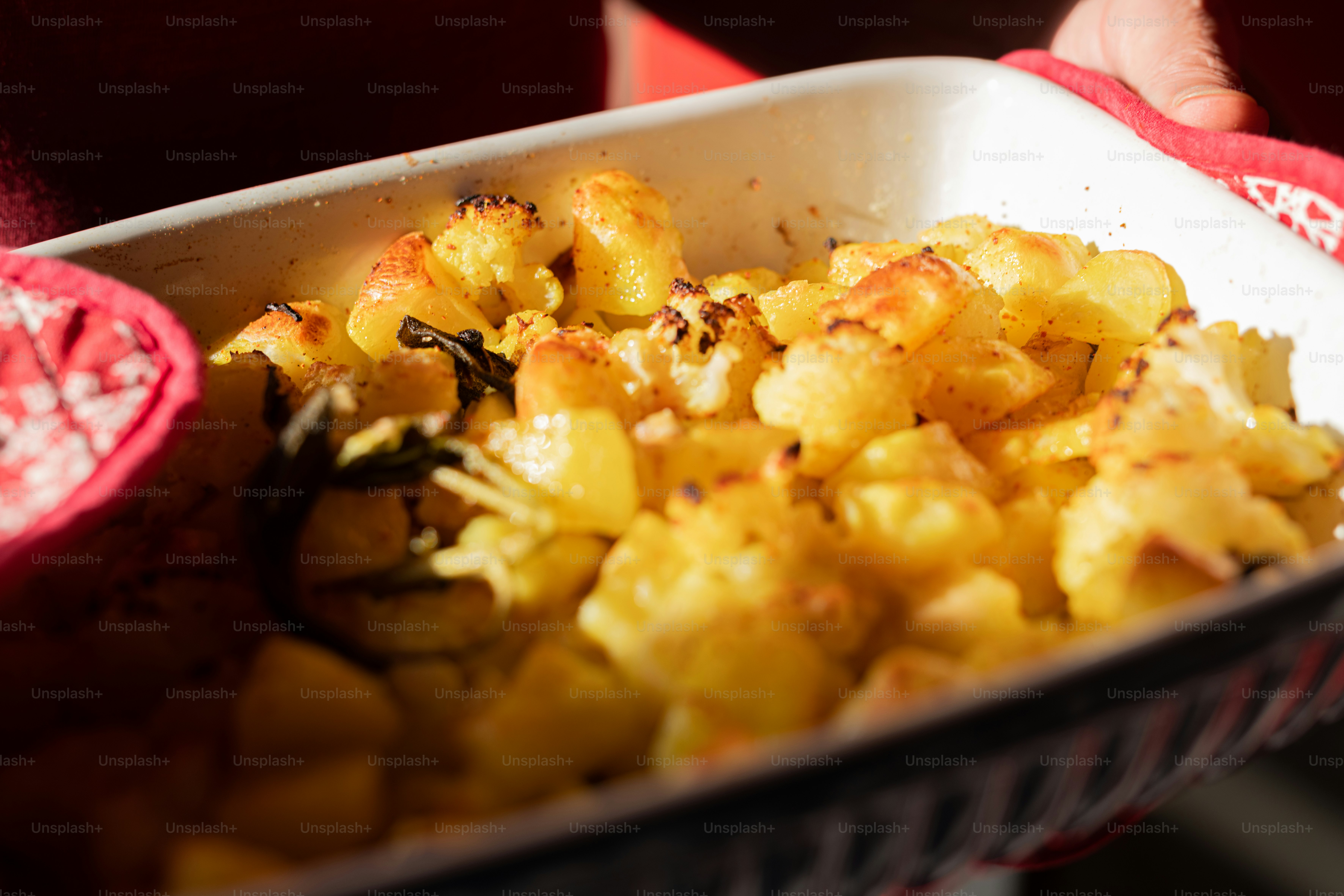 Dutch Oven Delights: A Culinary Adventure with Irresistible Recipes