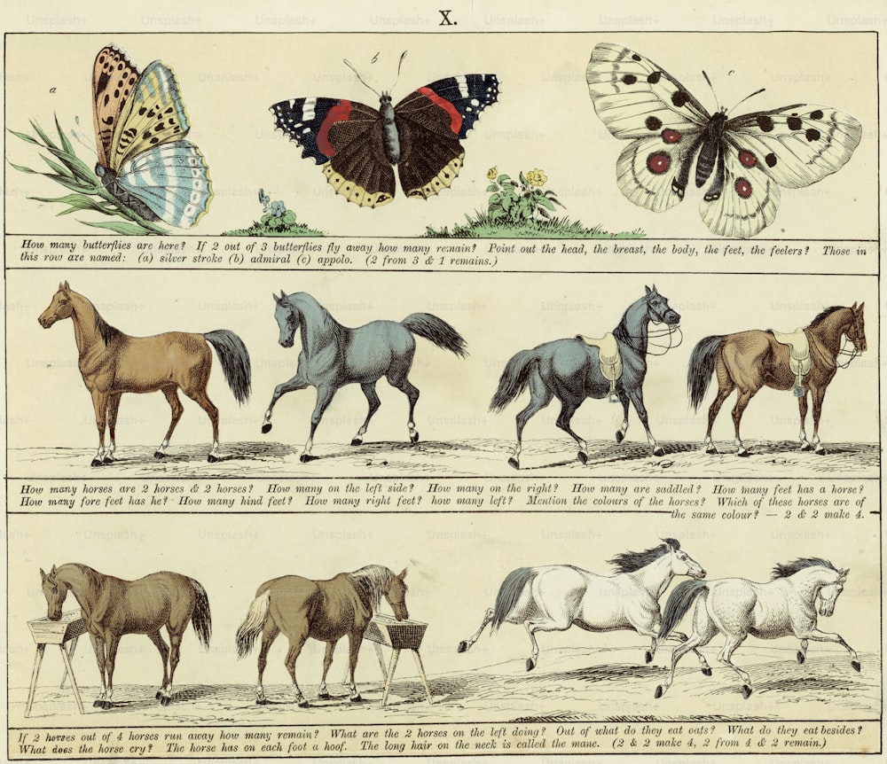 circa 1845:  A page from a mid nineteenth-century children's textbook with hand-tinted illustrations of  butterflies and horses. Each row of pictures is accompanied by a set of questions such as 'If 2 out of 3 butterflies flies away, how many remain ?' and  'Out of what do they eat oats ?'.  Vict 1164 96  (Photo by Hulton Archive/Getty Images)