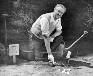 ETATS-UNIS - Vers les années 1950 : Homme mûr travaillant dans un potager.