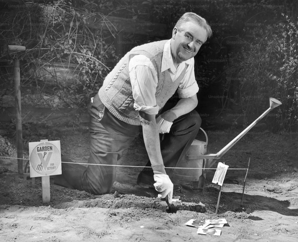 UNITED STATES - CIRCA 1950s:  Mature man working in vegetable garden.