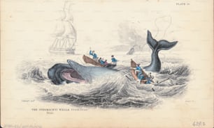 작살이 달린 두 개의 작은 노 젓는 보트를 묘사 한 컬러 조각, 향유 고래, 남해, 1820-1860 년경. (사진: 킨 컬렉션/아카이브 사진/게티 이미지)