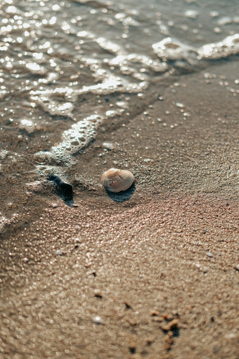 a ball sitting on top of a sandy beach next to the ocean