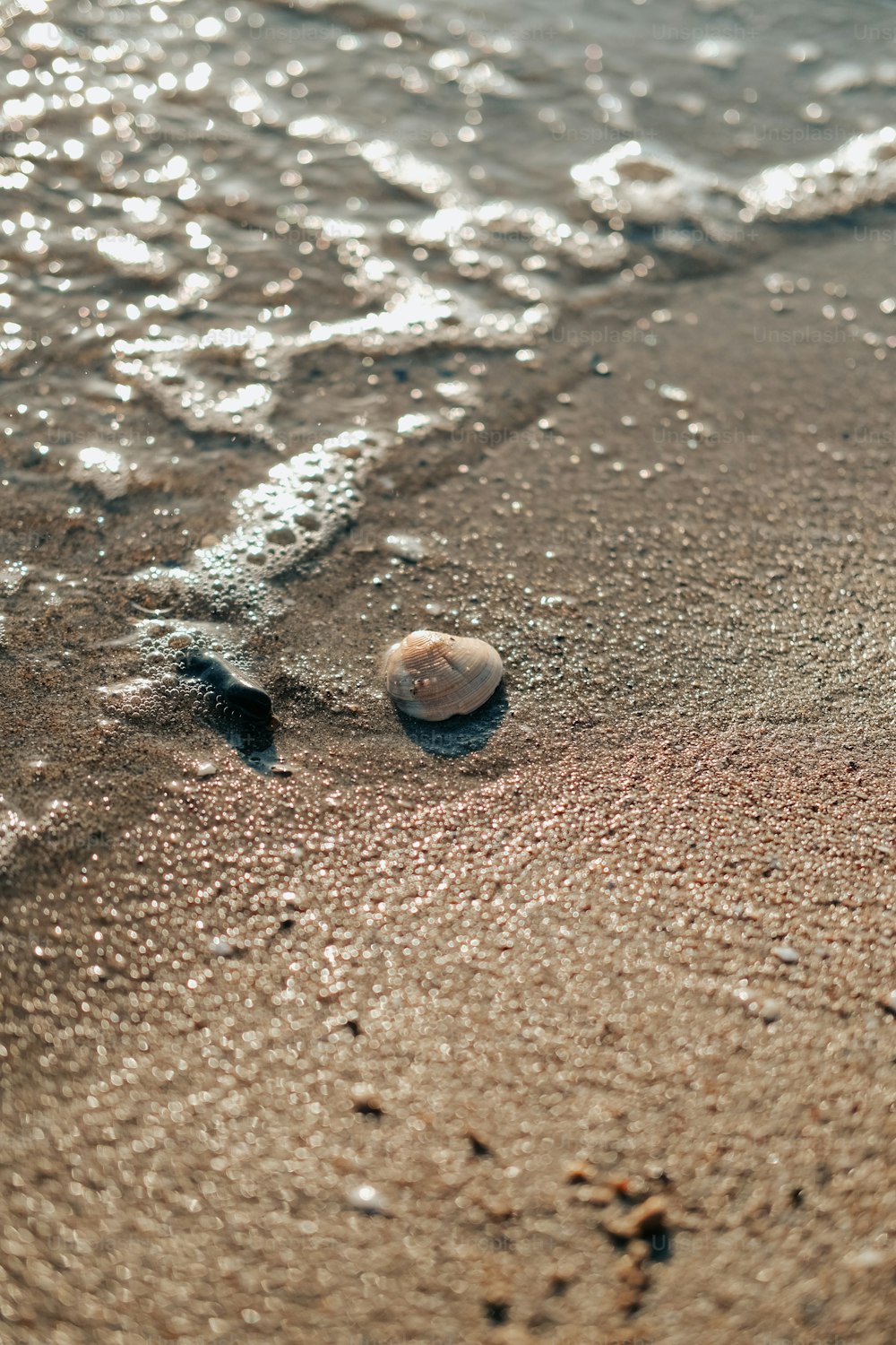 uma bola sentada em cima de uma praia de areia ao lado do oceano