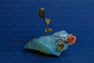 Eine Rose, die auf einem Stück Plastik sitzt