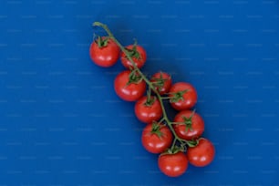 Un racimo de tomates sobre una superficie azul