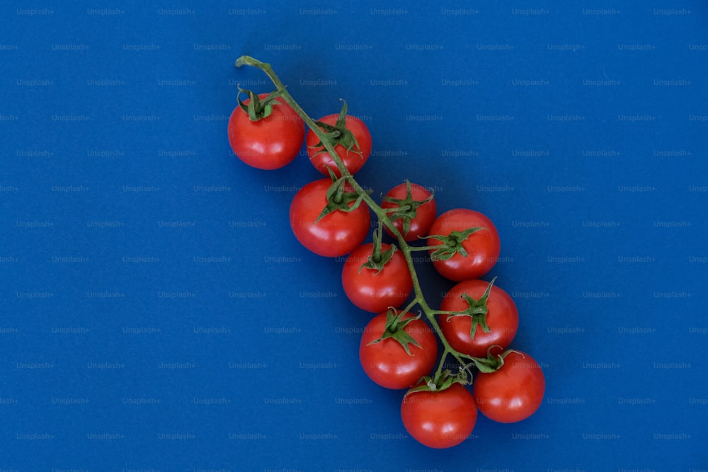 Un racimo de tomates sobre una superficie azul